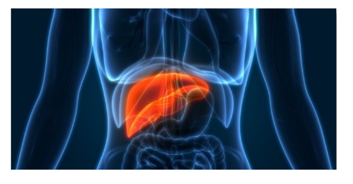 Treating Liver Fibrosis